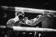 IMG_6356-2